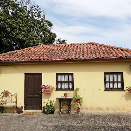 Quinta Da Imaculada Villa Arcos de Valdevez Eksteriør bilde